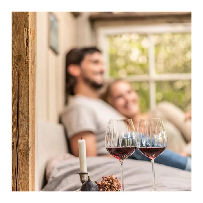 Sklenice WINESHINE Allround 373 ml