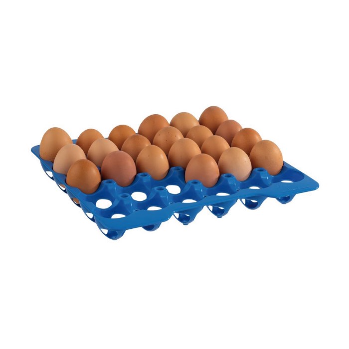 Plato na vejce, 10 x 30 cm vajec, modrý plast