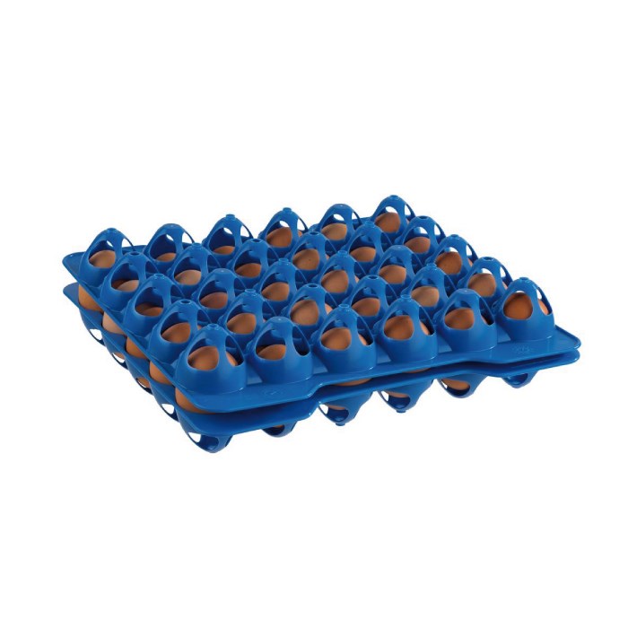 Plato na vejce, 10 x 30 cm vajec, modrý plast