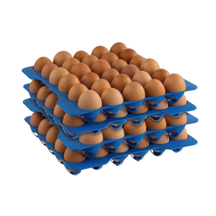 Plato na vejce, 10 x 30 cm vajec, modrý plast